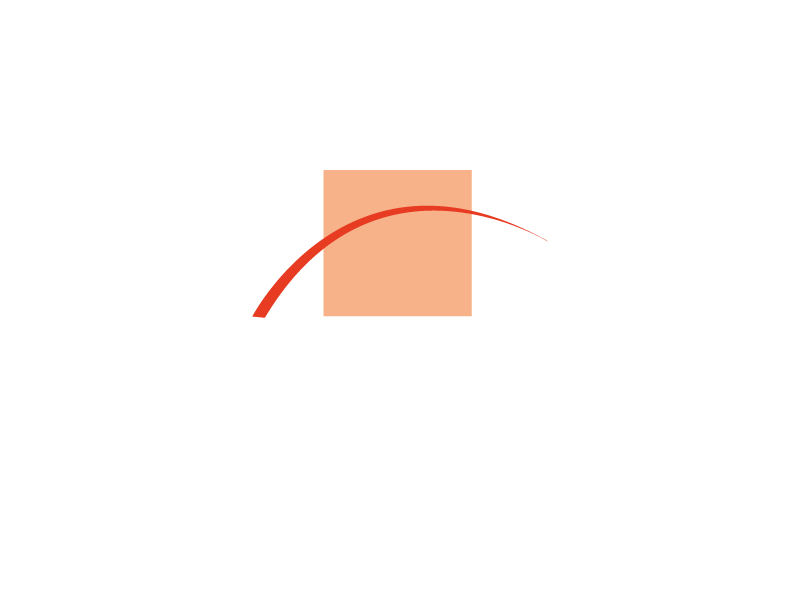 sarl Palazzo